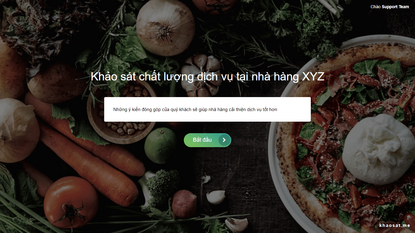 form khảo sát
